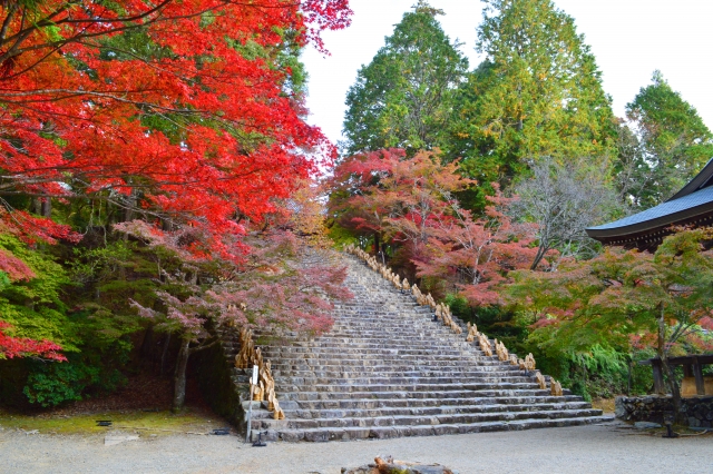 神護寺の概要